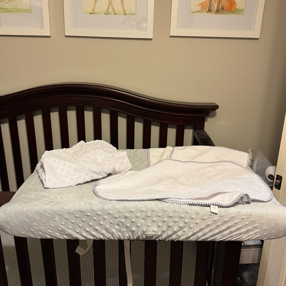 Baby Changing Pad and Extras
